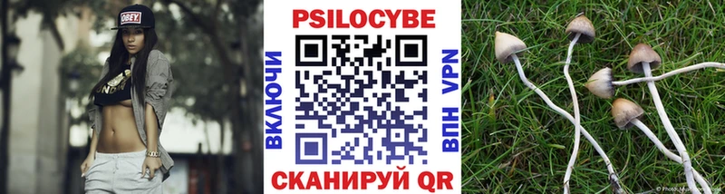 Галлюциногенные грибы Psilocybine cubensis  Купить  Всеволожск 